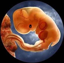 Designer Babies