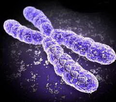 Genetic Engineering